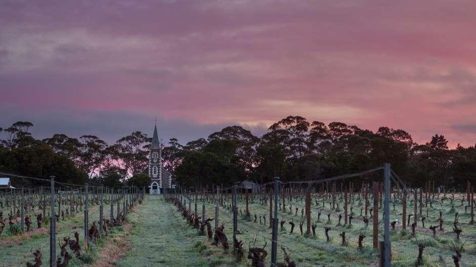 Continent Winner - The Best Vineyard in Australasia 2022